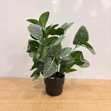 AM7764 Premium Artificial Tabletop Green Plants in Sleek Black Pots (Pack of 1)