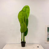 A06681 Medium Artificial Banana Palm Plant in Black Nursery