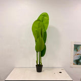 A06681 Medium Artificial Banana Palm Plant in Black Nursery