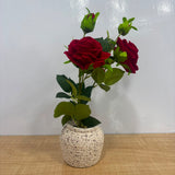 A06876 Artificial Red Rose Flower Bunch with Ceramic Textured Pot for Home & Table Decor