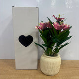 A06878 Artificial Pink Lily Flower Plant in Textured Ceramic Pot with Gift Box