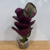 A06880 Artificial Purple & Green Calathea Decorative Desk Plant in Textured Stone Pot