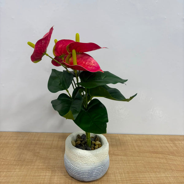 A06882 Artificial Red Anthurium Flower Plant in Textured Pot for Home & Office Decor