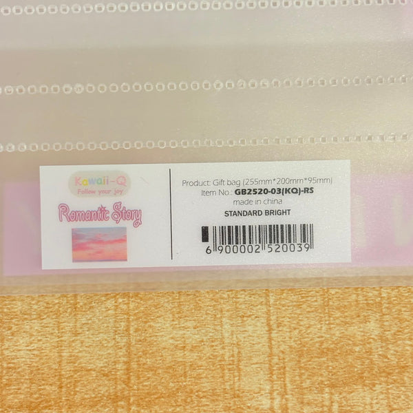 A07016 Aesthetic Frosted Plastic Gift Bag with Handles (255 x 200 x 95 mm)