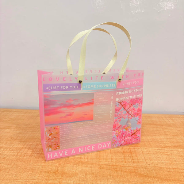 A07016 Aesthetic Frosted Plastic Gift Bag with Handles (255 x 200 x 95 mm)