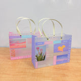 A07016 Aesthetic Frosted Plastic Gift Bag with Handles (255 x 200 x 95 mm)
