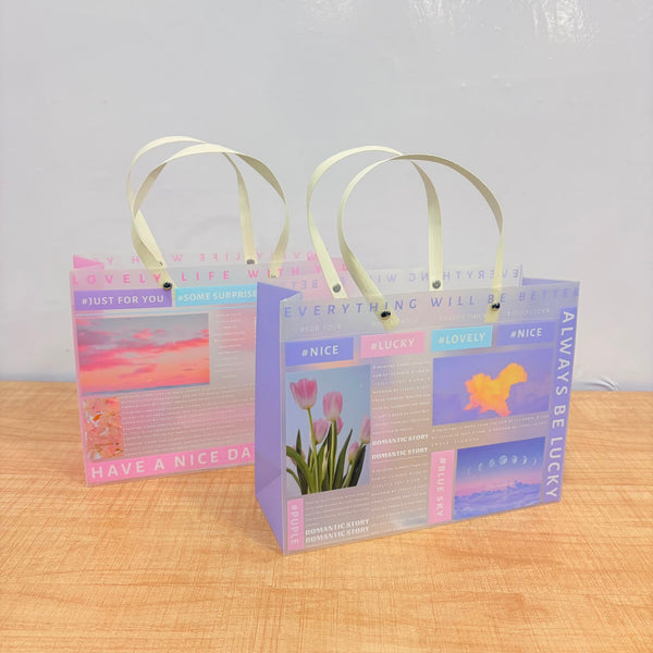 A07016 Aesthetic Frosted Plastic Gift Bag with Handles (255 x 200 x 95 mm)