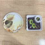 A07643 Mix Design Printed Melamine Snack & Dinner Plate - Pack Of 1