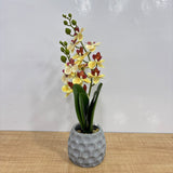 A07669 Artificial Yellow Orchid Flower Plant in Textured Grey Ceramic Pot