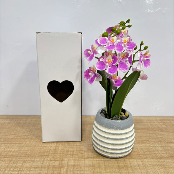 A07670 Artificial Orchid Flower Plant in Striped Decorative Pot for Home & Office Decor