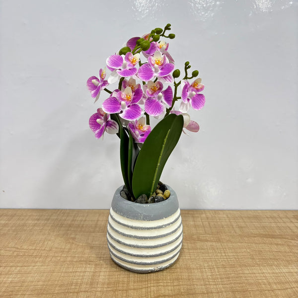 A07670 Artificial Orchid Flower Plant in Striped Decorative Pot for Home & Office Decor