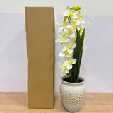 A07672 Artificial White Orchid Floral Arrangement in Textured Ceramic Pot
