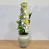 A07672 Artificial White Orchid Floral Arrangement in Textured Ceramic Pot