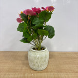 A07674 Artificial Pink Flower Plant in Textured Pot with Gift Packaging Box