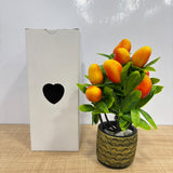 A07676 Artificial Mini Mango Plant with Textured Decorative Pot for Home & Table Decor