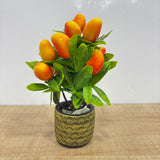 A07676 Artificial Mini Mango Plant with Textured Decorative Pot for Home & Table Decor