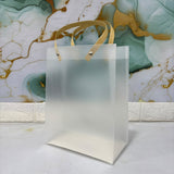 A07758 Small Transparent Frosted Plastic Gift Bag with Handle - 27 x 21 inch