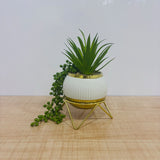 A07783 Artificial Succulent & Trailing Plant with White Ceramic Pot and Gold Metal Stand
