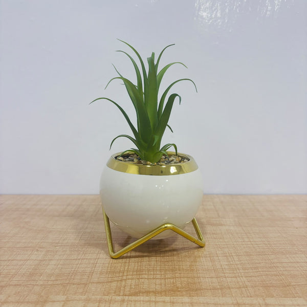 A07784 Artificial Succulent Plant in Ceramic Pot with Gold Rim & Stand