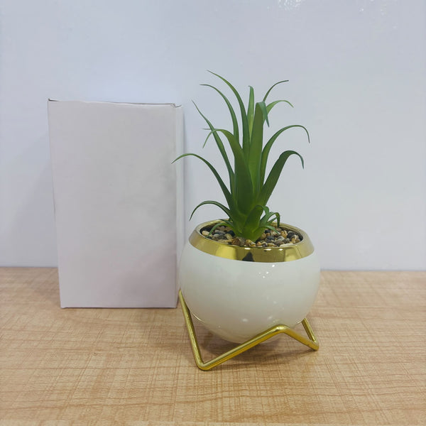 A07784 Artificial Succulent Plant in Ceramic Pot with Gold Rim & Stand