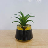 A07785 Mini Artificial Succulent Plant in Black & Gold Ceramic Pot