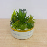 A07786 Artificial Succulent Plants in Ceramic Marble Pattern Pot with Gold Rim