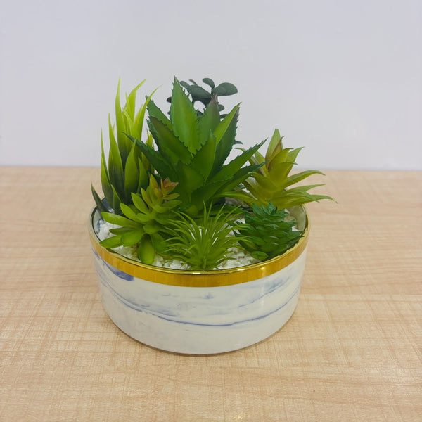 A07786 Artificial Succulent Plants in Ceramic Marble Pattern Pot with Gold Rim