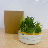 A07786 Artificial Succulent Plants in Ceramic Marble Pattern Pot with Gold Rim