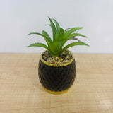 A07787 Artificial Succulent Plant in Black Textured Ceramic Pot with Gold Rim