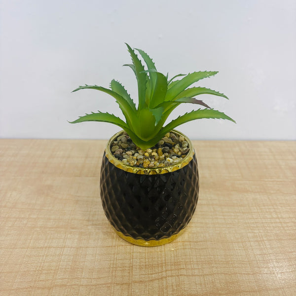 A07787 Artificial Succulent Plant in Black Textured Ceramic Pot with Gold Rim