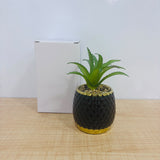 A07787 Artificial Succulent Plant in Black Textured Ceramic Pot with Gold Rim