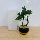 A07791 Artificial Bonsai Plant in Black & Gold Ceramic Pot for Home & Office Decor