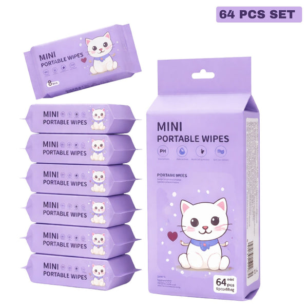 AM6413 Mini Baby Wipes Disposable Portable Pocket Water Wipes (64 Wipes X 1 Pack)