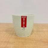 A06536 4-Inch Premium White Plastic Planter Pot (Pack of 1)