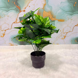AM7764 Premium Artificial Tabletop Green Plants in Sleek Black Pots (Pack of 1)