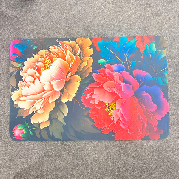3342 Water Absorbing Door Mat