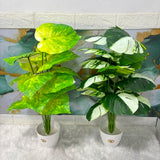 A06679 Artificial Variegated Caladium Potted Plant for Home & Office Decor