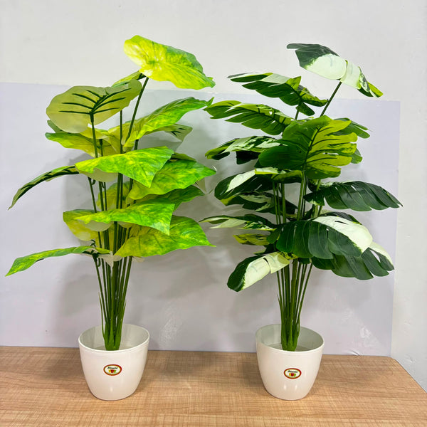 A06679 Artificial Variegated Caladium Potted Plant for Home & Office Decor