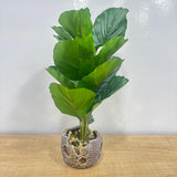 A06880 Artificial Purple & Green Calathea Decorative Desk Plant in Textured Stone Pot