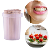 3300 Wooden Toothpicks & Sticks | Toothpick Jars for Restaurants, Home and Hotels