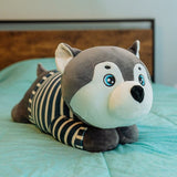 AM3151 Huskey Dog 13inch Toys ( Bag Squiral ) Beautiful Soft Huskey Dog Designs Soft Toy Dog Stuffed 430gm