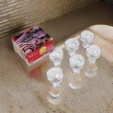 5297 Royal Style Dessert & ICE Cream Cup Bowl Plastic 6pcs For Home , Office & Party Use