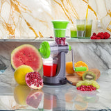 0074C Fruit and Vegetable Juicer nano or mini Juicer