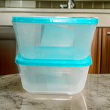 3165 Plastic Freezer Safe Container (Set of 2 - 800ML)