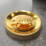 AM0723 Small 2.3" Tortoise with Plate