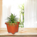 AM0815 Deep Heavy Duty Square Plastic Planters Pots -28cmX25cm