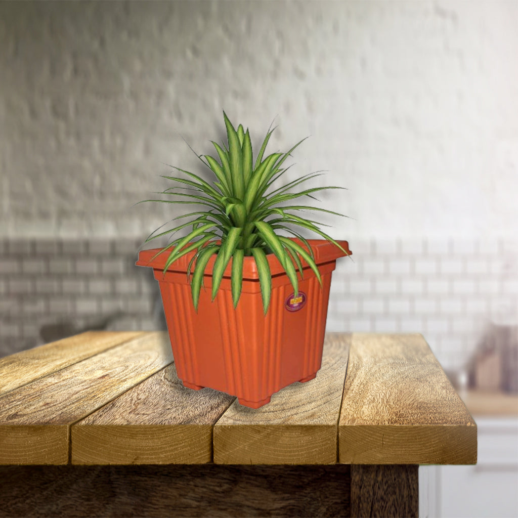 deep square plant pots AM2062 Deep Heavy Square Brown Planter Pot 10 inch – Amd-Deodap