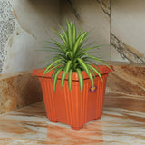 AM2062 Deep Heavy Square Brown Planter Pot 10 inch