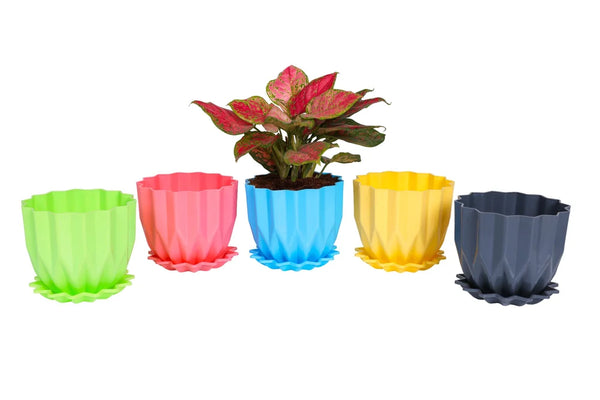 AM3632 Cammy Plastic Star Flower Pots with Tray Multicolor 1 Pcs