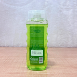 AM6696 Girnar Aloe Bliss Lightening Shower Gel – 500ml